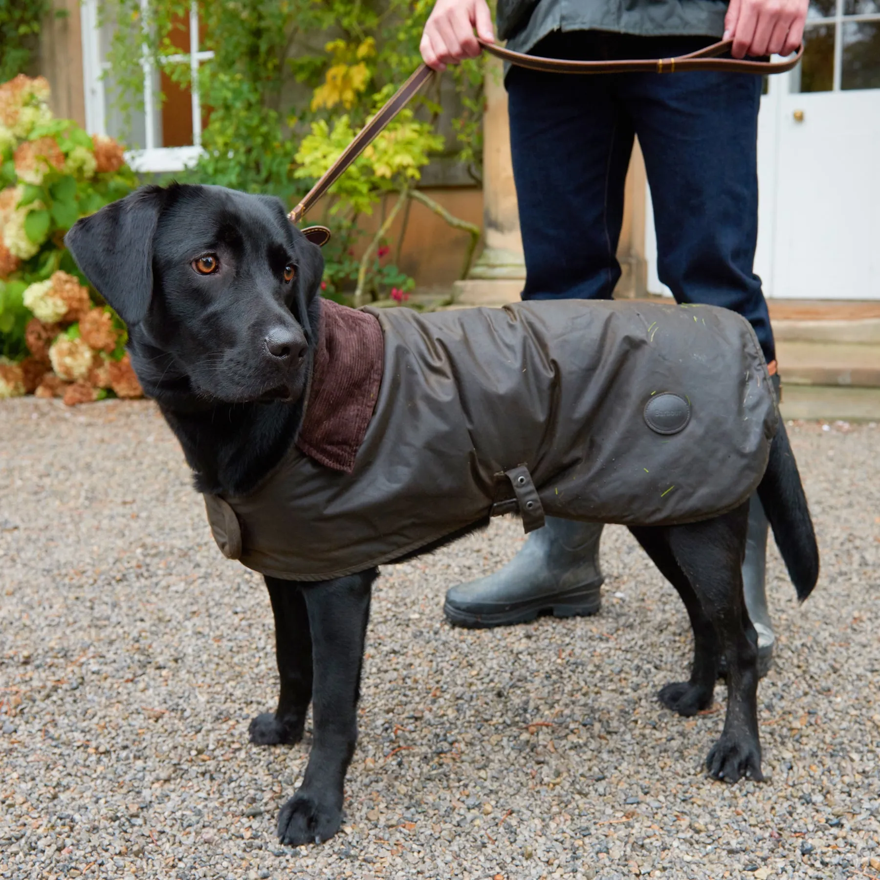 Barbour Waxed Cotton Dog Coat