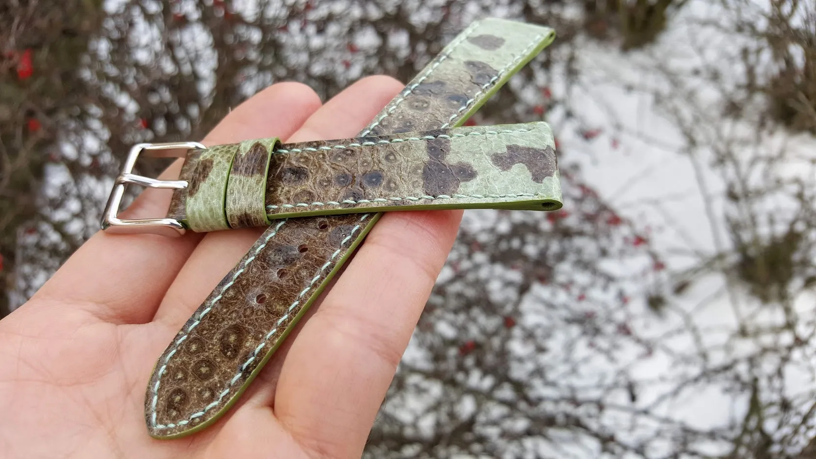 Bullfrog green 20 mm