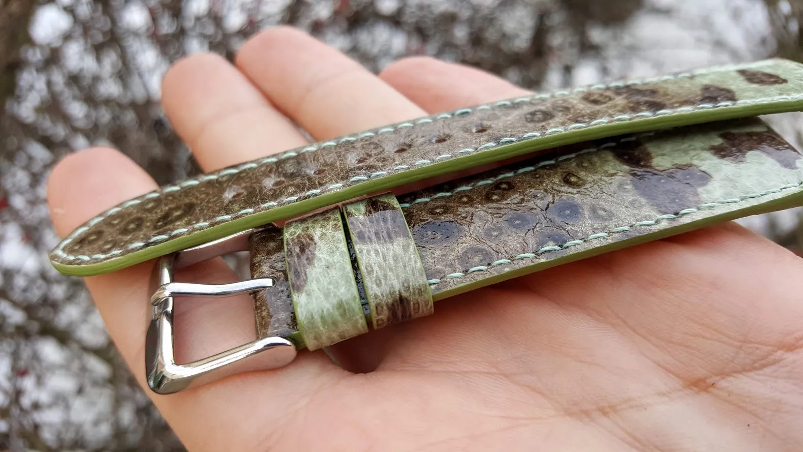 Bullfrog green 20 mm