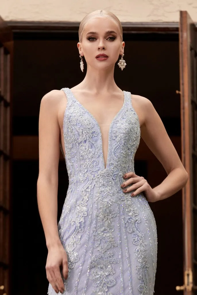 Cinderella Evening Dress CD981