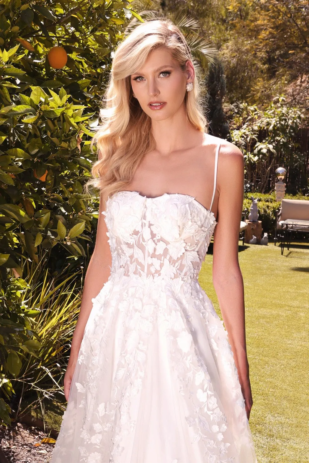 Cinderella Evening Dress TY15