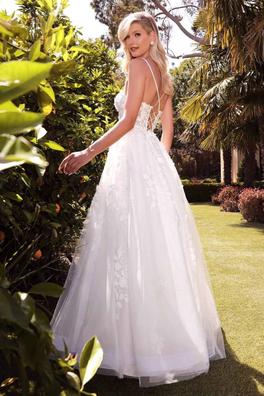 Cinderella Evening Dress TY15