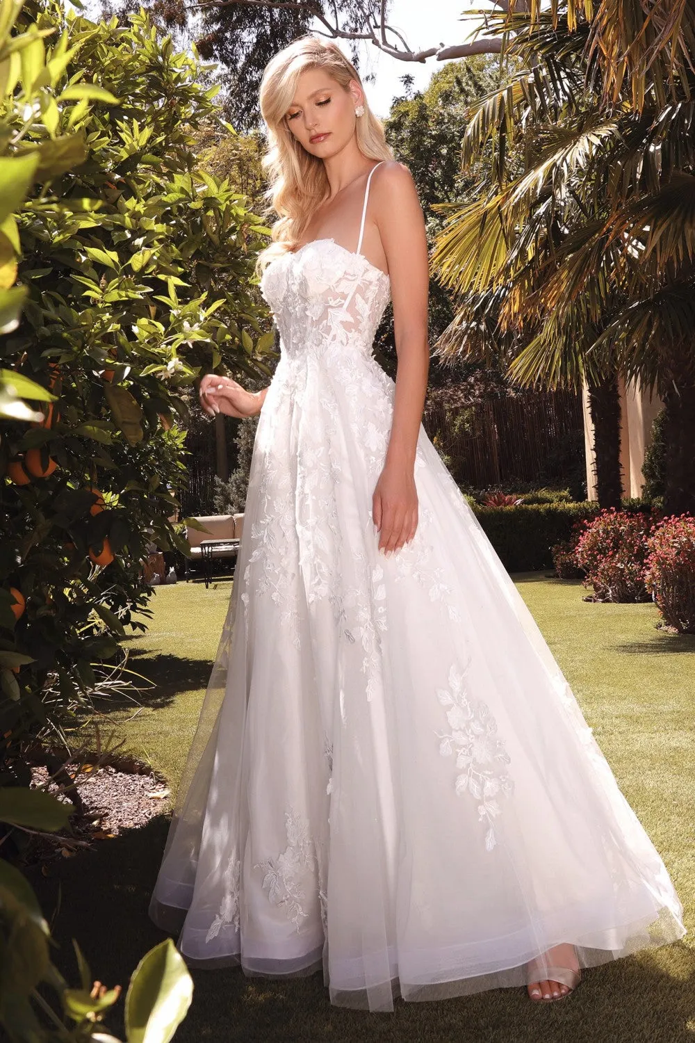 Cinderella Evening Dress TY15