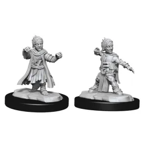 Halfing Monk Male: Pathfinder Battles Deepcuts Unpainted Miniatures (W15)