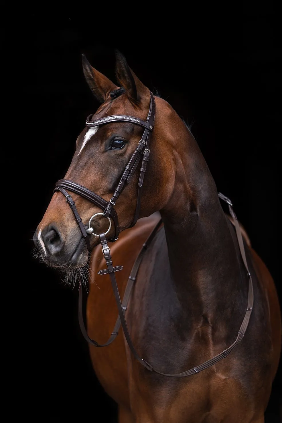 HKM Bridle Malin