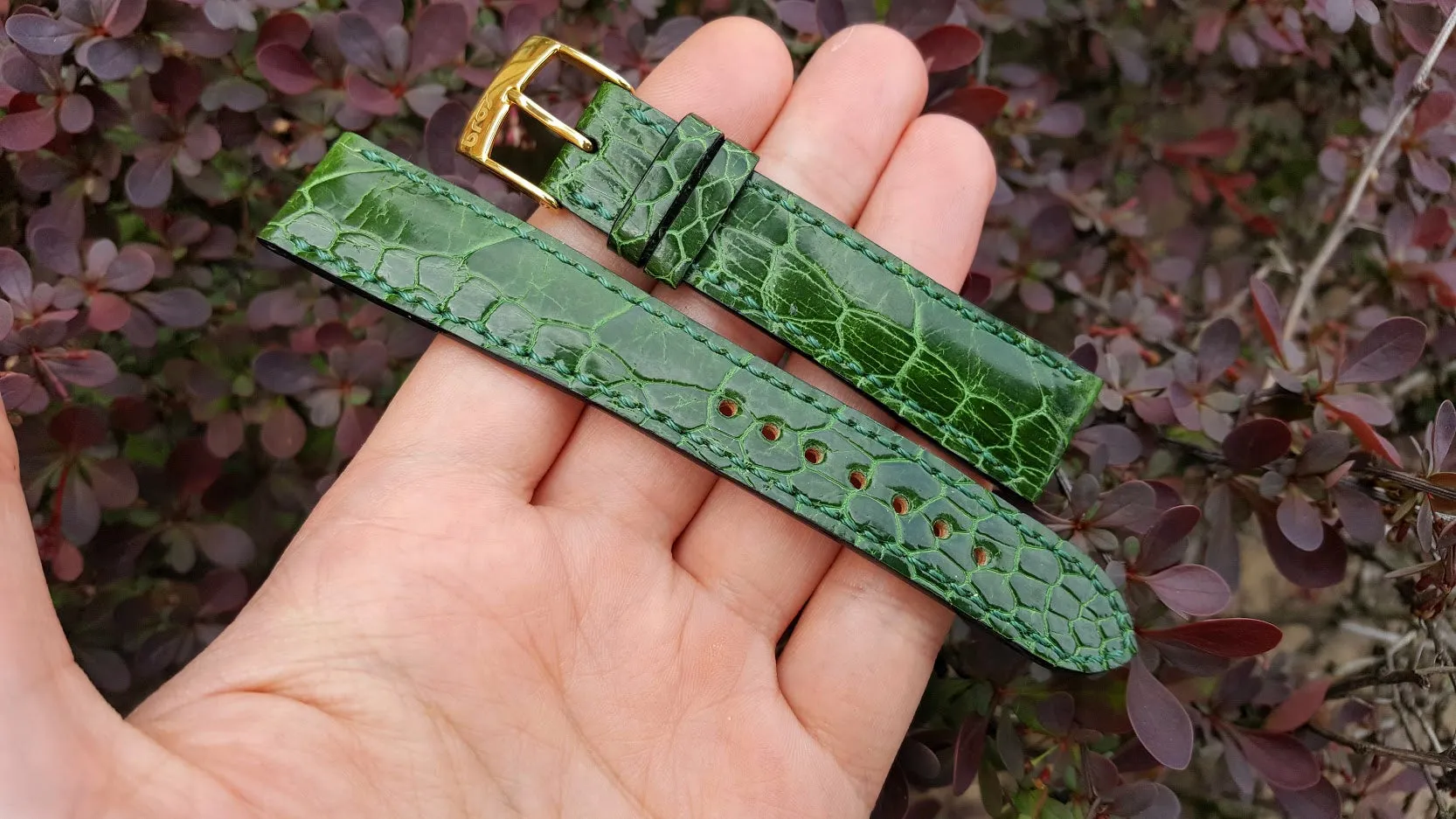 Kentucky Green Ostrich Leg 18 mm
