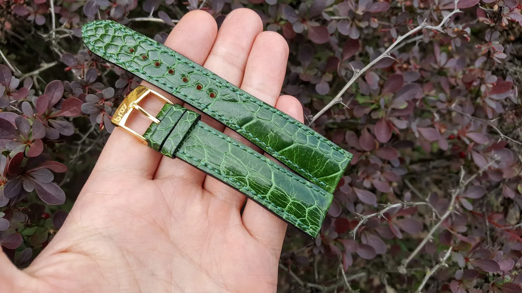Kentucky Green Ostrich Leg 18 mm