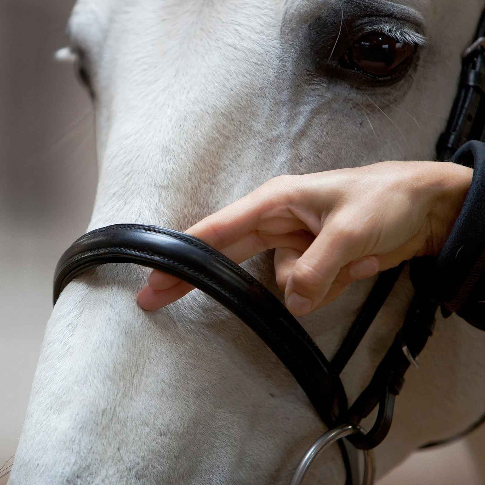 Kieffer Anja Beran Snaffle Bridle
