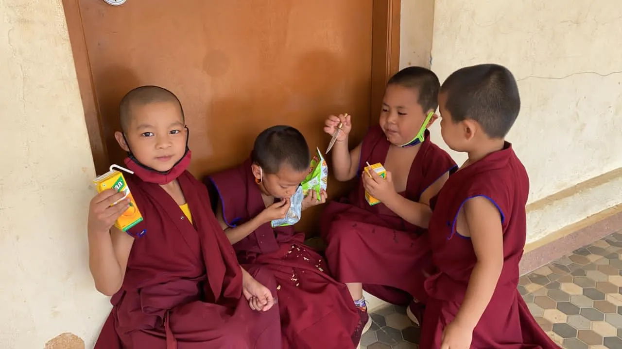 Novice Monks </br>  供养一位小沙弥