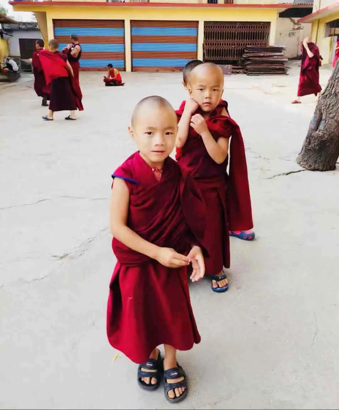 Novice Monks </br>  供养一位小沙弥