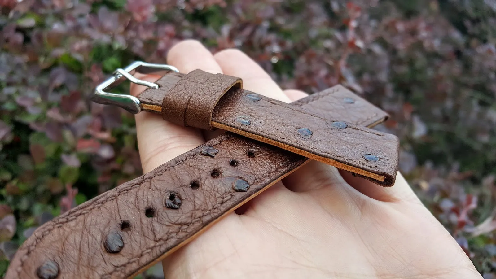 Ostrich Watch Strap 20 mm