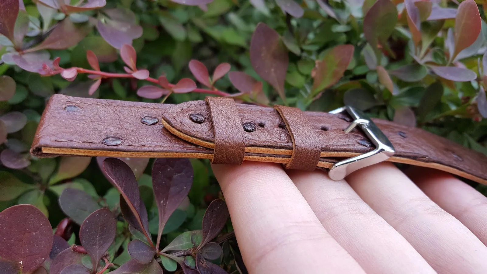 Ostrich Watch Strap 20 mm