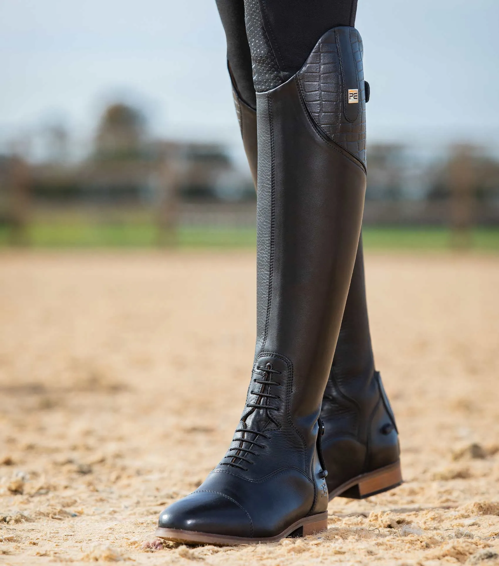Passaggio Ladies Leather Field Tall Riding Boots Black (Regular Calf)