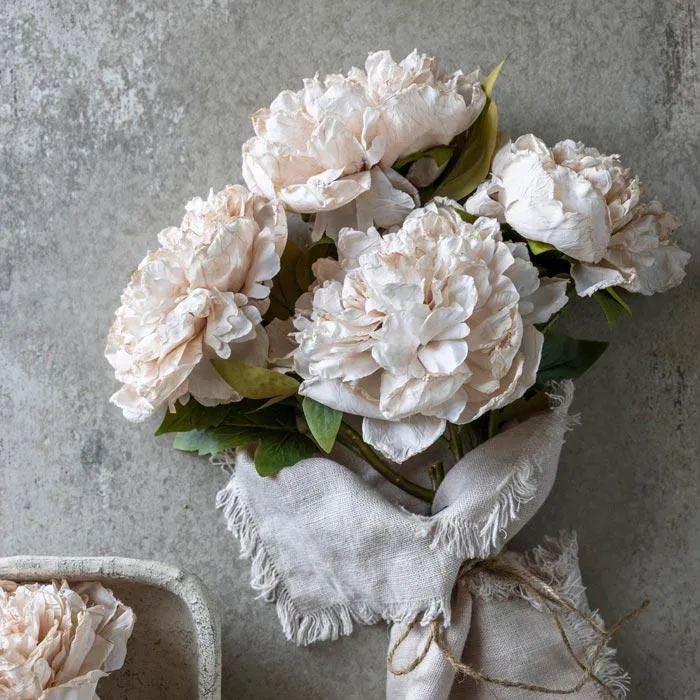 Peony Evening Dew Stem