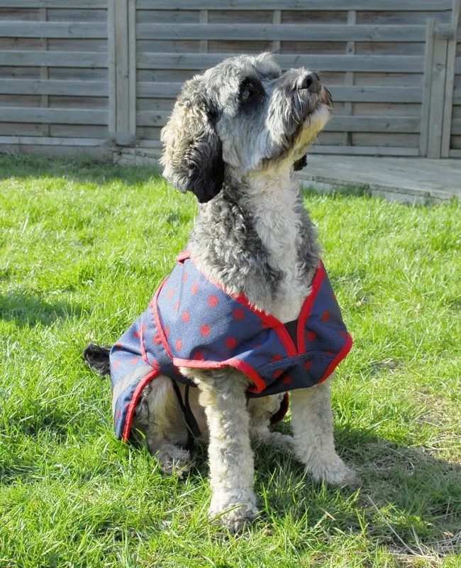 Rhinegold Highland Dog Coat