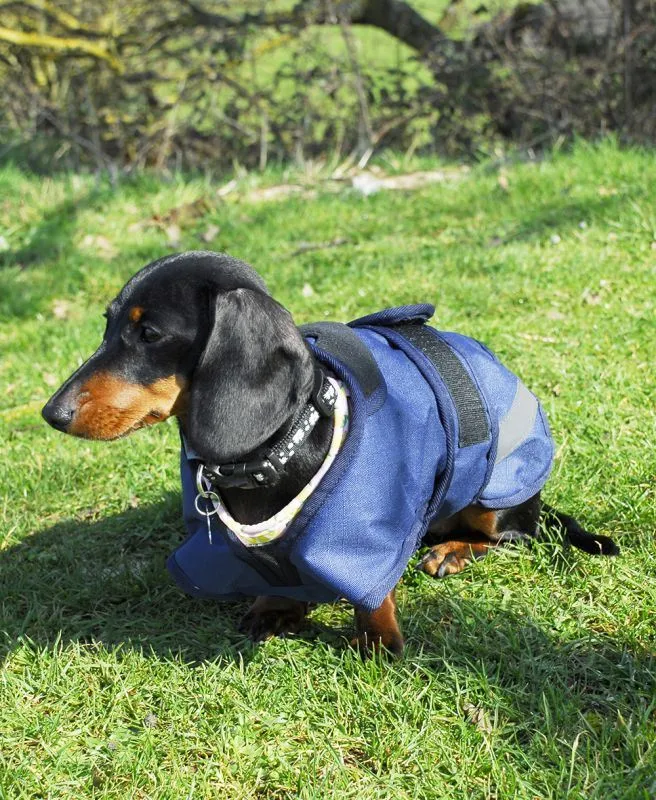 Rhinegold Highland Dog Coat