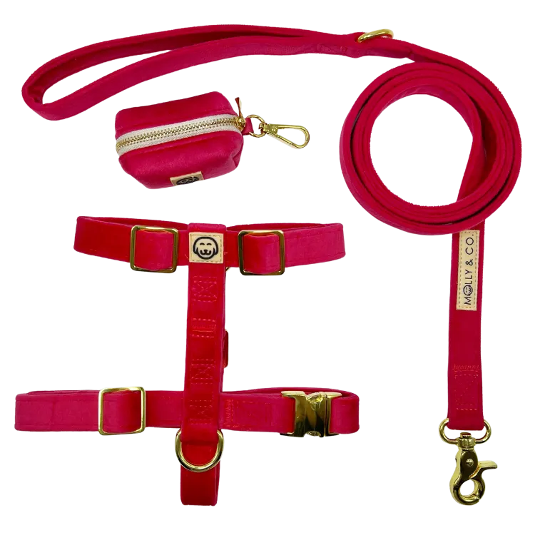 Scarlet Velvet - Walking Bundle