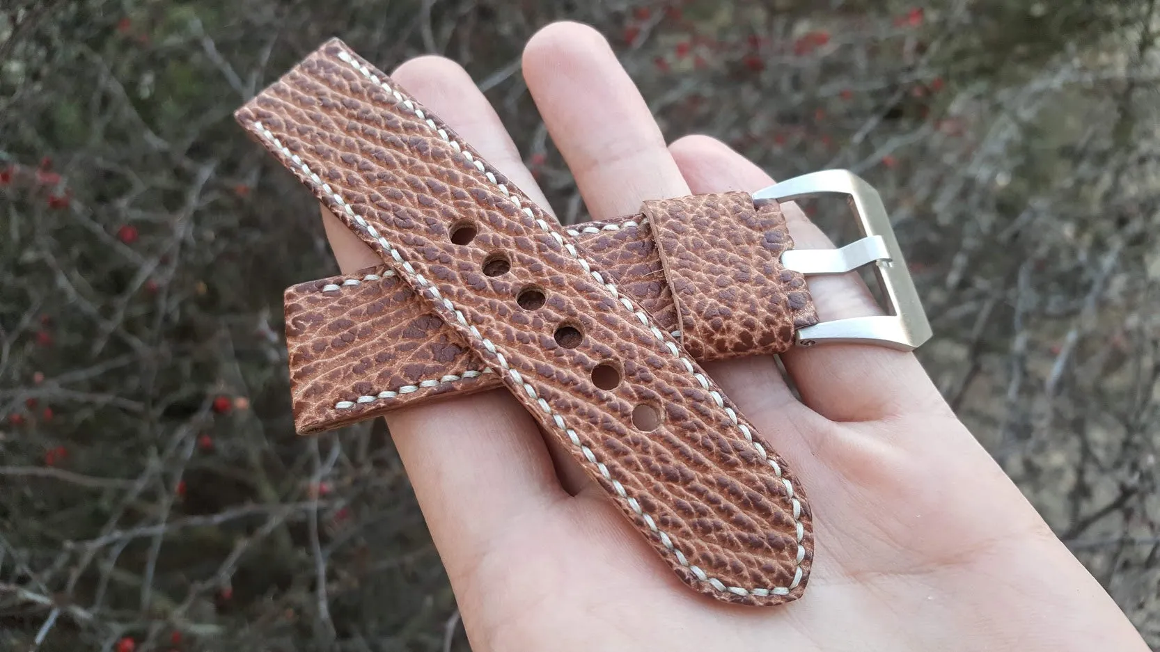 Shark 22 mm