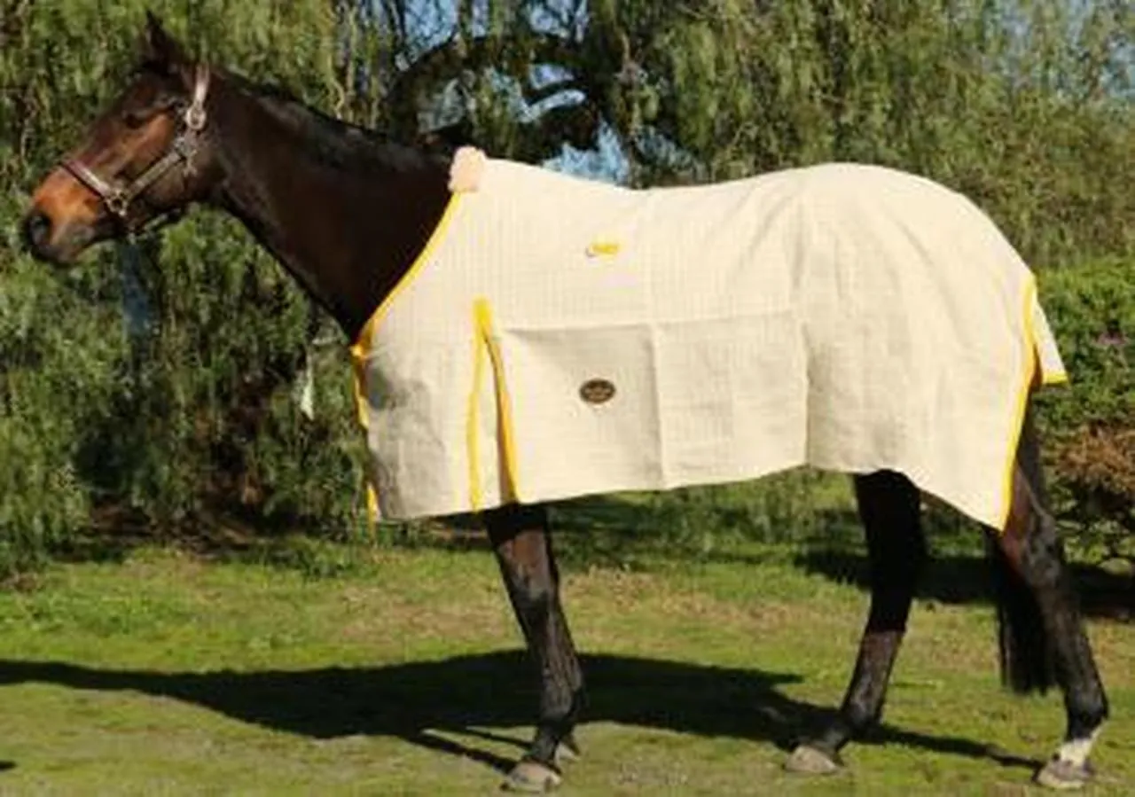 Showcraft Gold Rug
