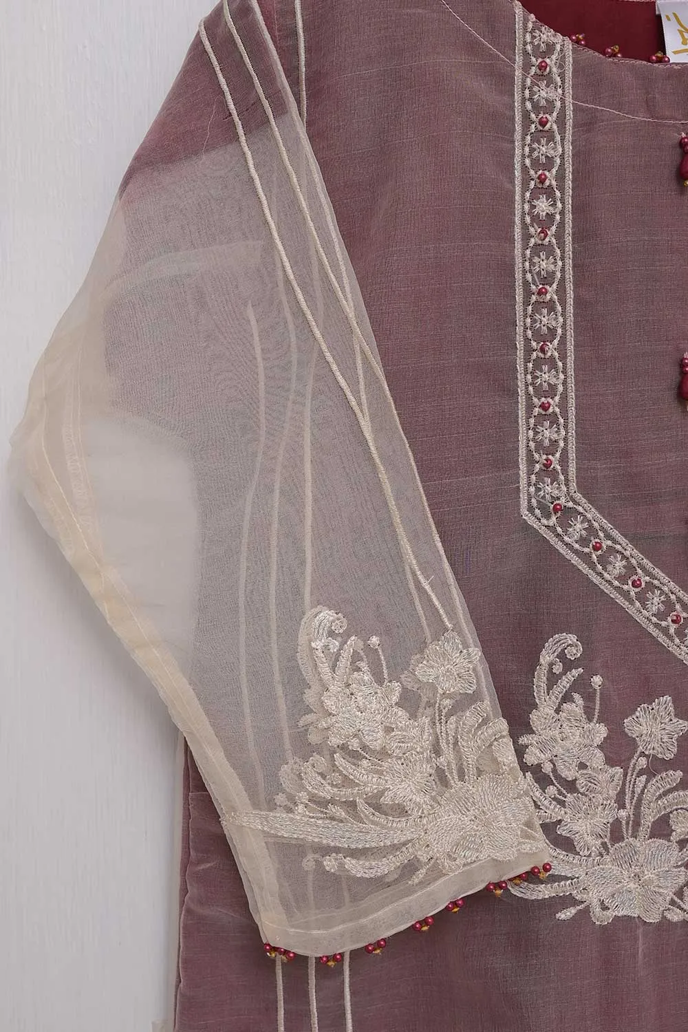 TS-135B-Maroon - Echoing Charm - Organza Embroidered Kurti
