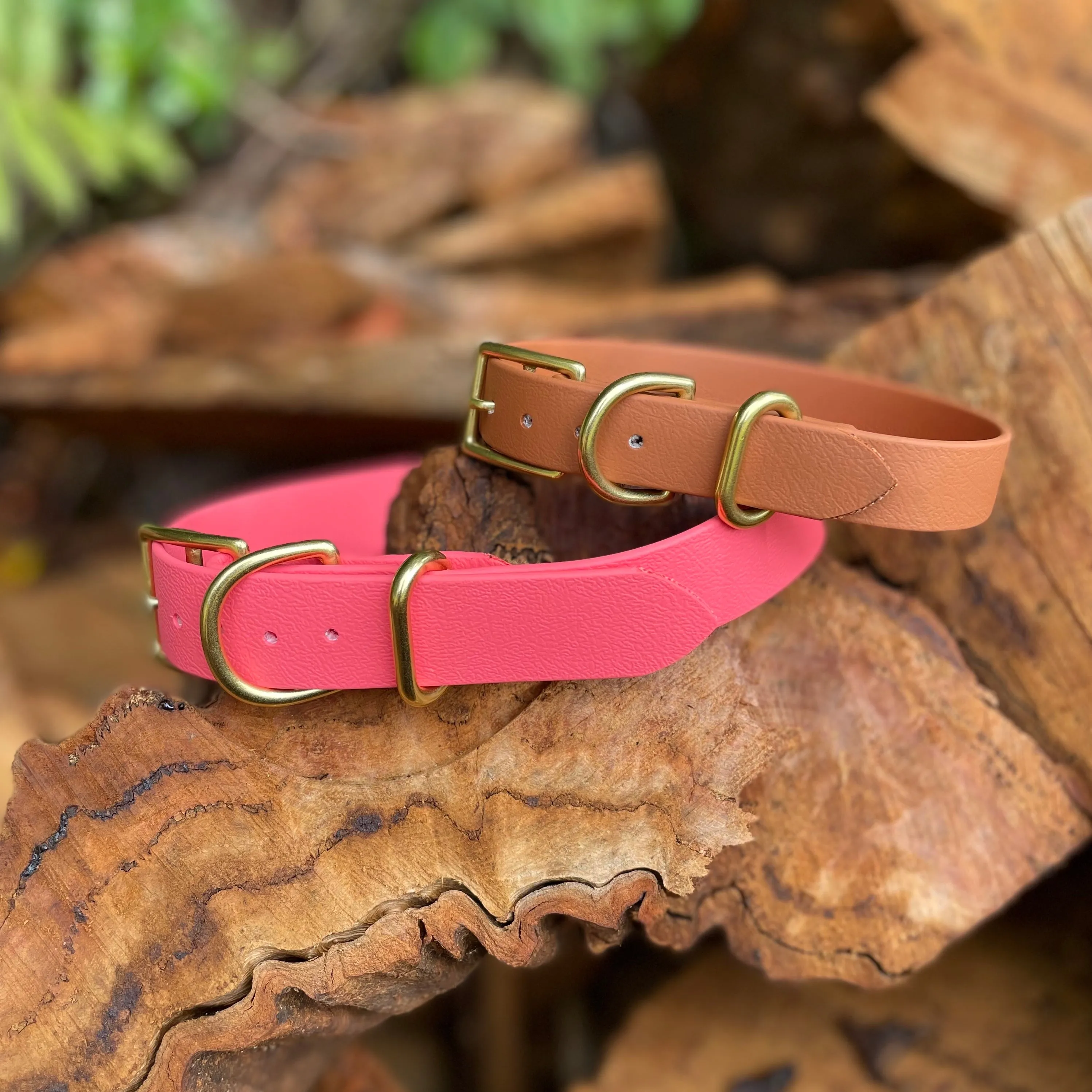 Waterproof Buckle Collar : Mocha   Brass