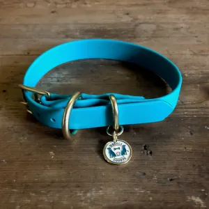 Waterproof Buckle Collar : Teal   Brass