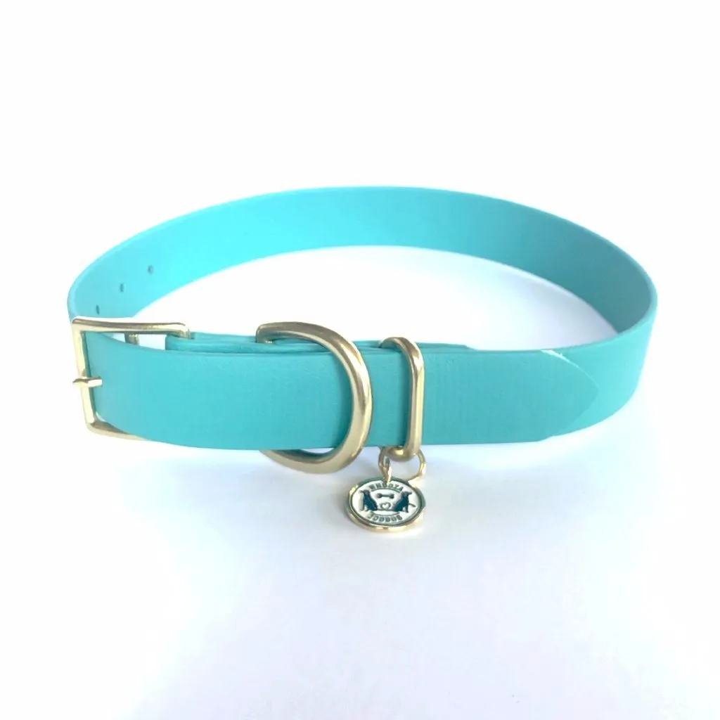 Waterproof Buckle Collar : Teal   Brass